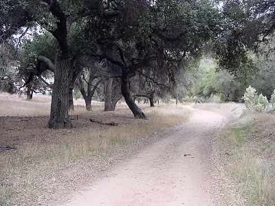 Fire road portion of trail