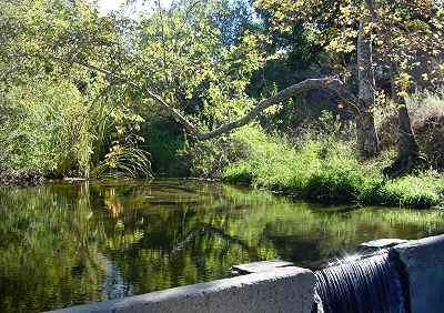 Wildwood Creek (Wildwood Park)